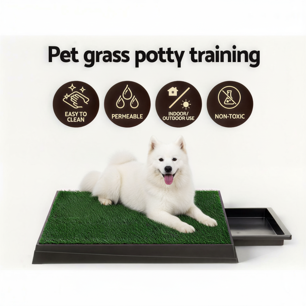 Portable Pet Potty