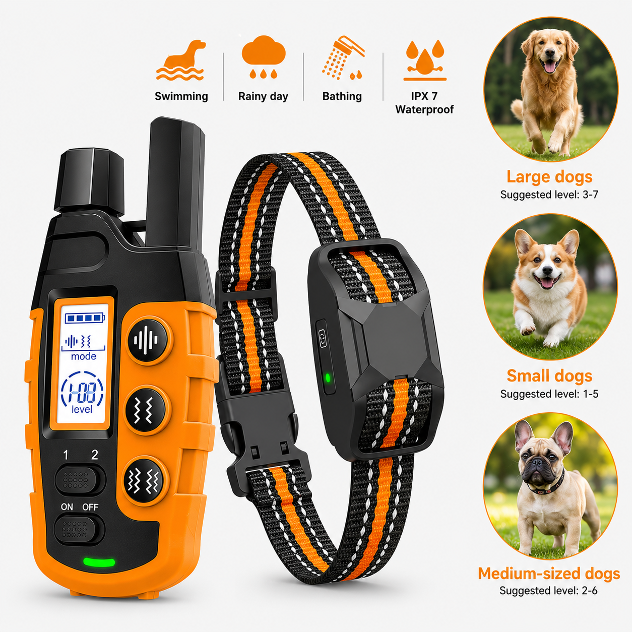 Remote Collar